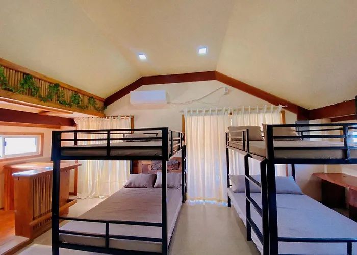 Shirubi & Guesthouse-moalboal
