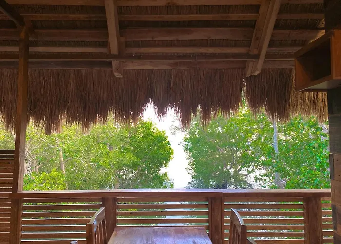 Accommodatie bij particulieren Shirubi & Guesthouse-moalboal Moalboal