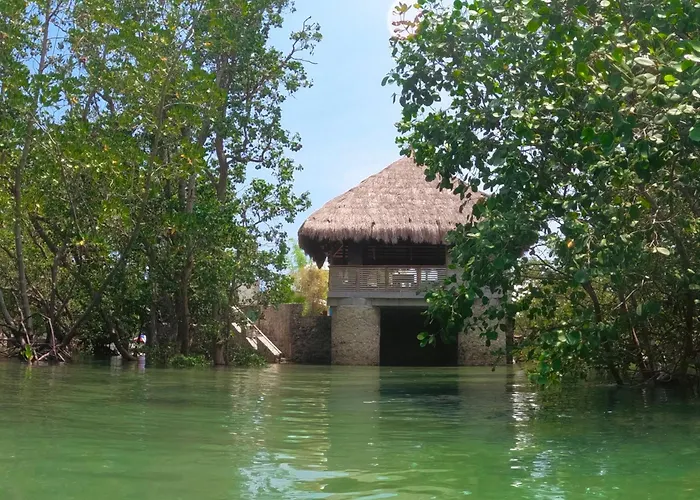Shirubi & Guesthouse-moalboal * Moalboal