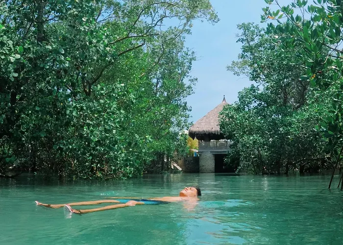Accommodatie bij particulieren Shirubi & Guesthouse-moalboal Moalboal