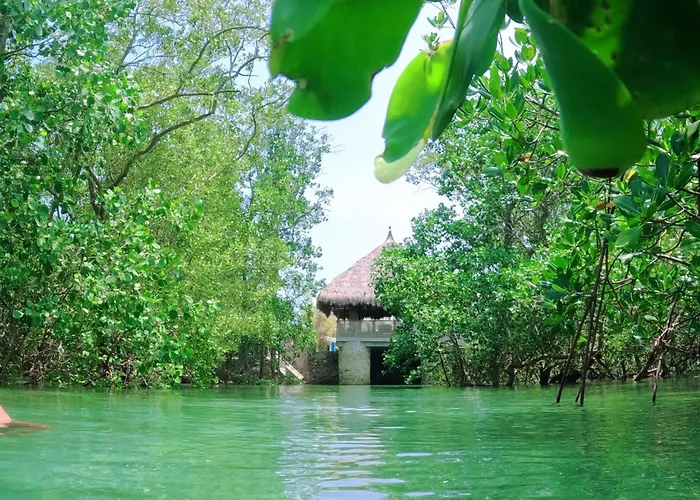 Shirubi & Guesthouse-moalboal Accommodatie bij particulieren *